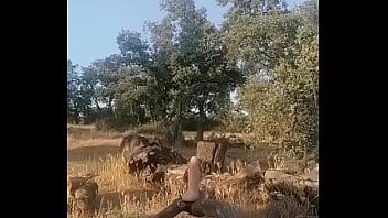 [El, En El, Tarde] Tarde Casa El Campo